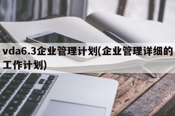 vda6.3企业管理计划(企业管理详细的工作计划)